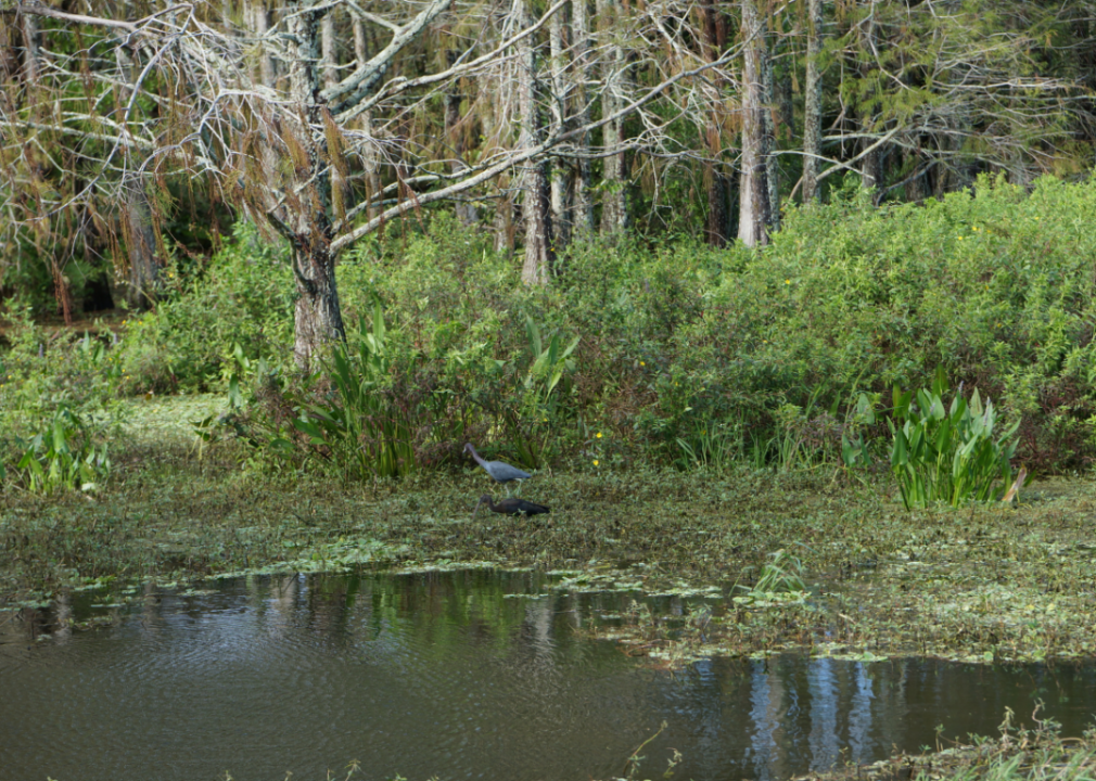 #16. Mississippi
